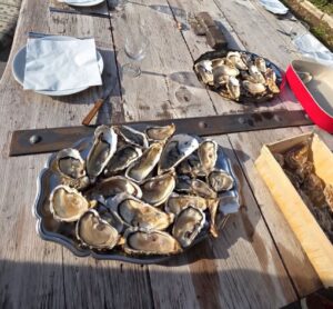 Plateaux d'huîtres fraîches sur une table en bois rustique en Provence, baignée par le soleil d'hiver, au Mas de la Sacristière.