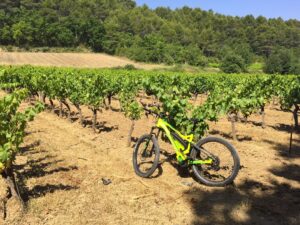 VTT électrique jaune fluo garé dans un vignoble provençal ensoleillé, avec des rangs de vignes et une forêt en arrière-plan, symbolisant les activités sportives et de balade en Provence.